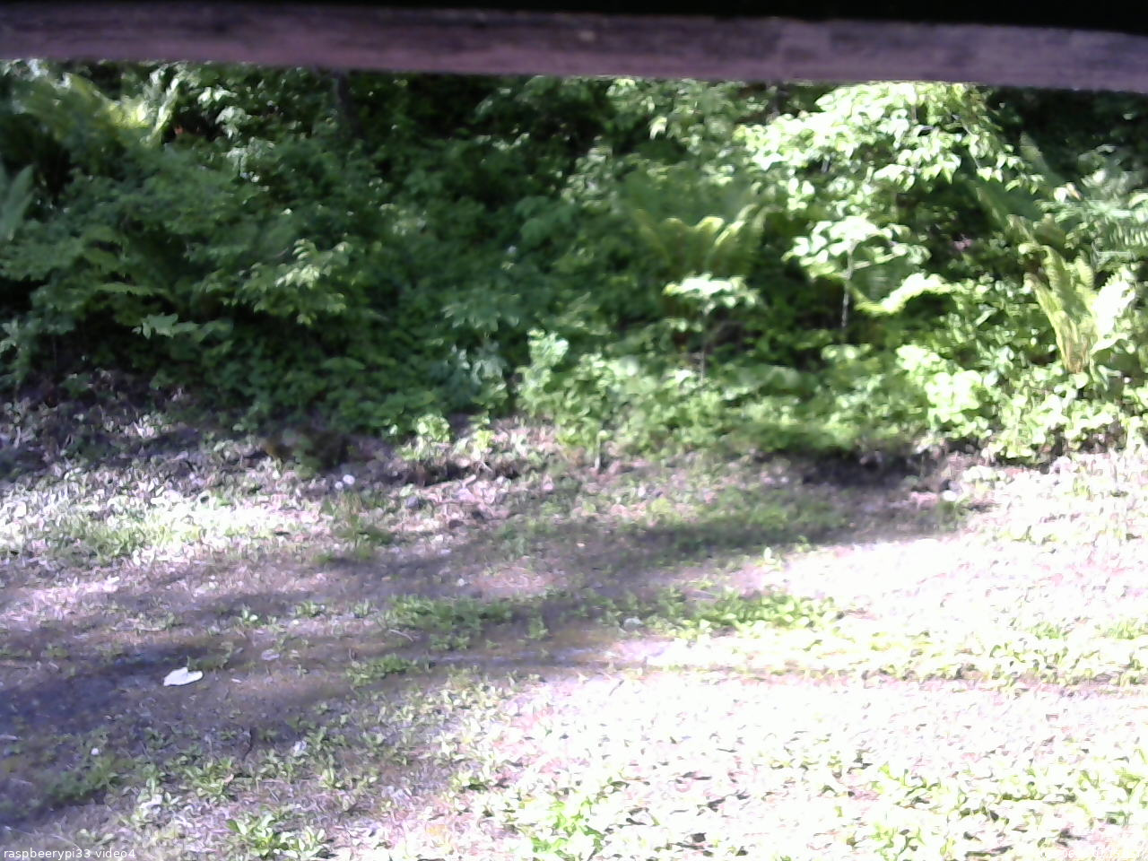 長野県菅平高原 ゆたか山荘 東側(坂下) 2026/06/01 07:15