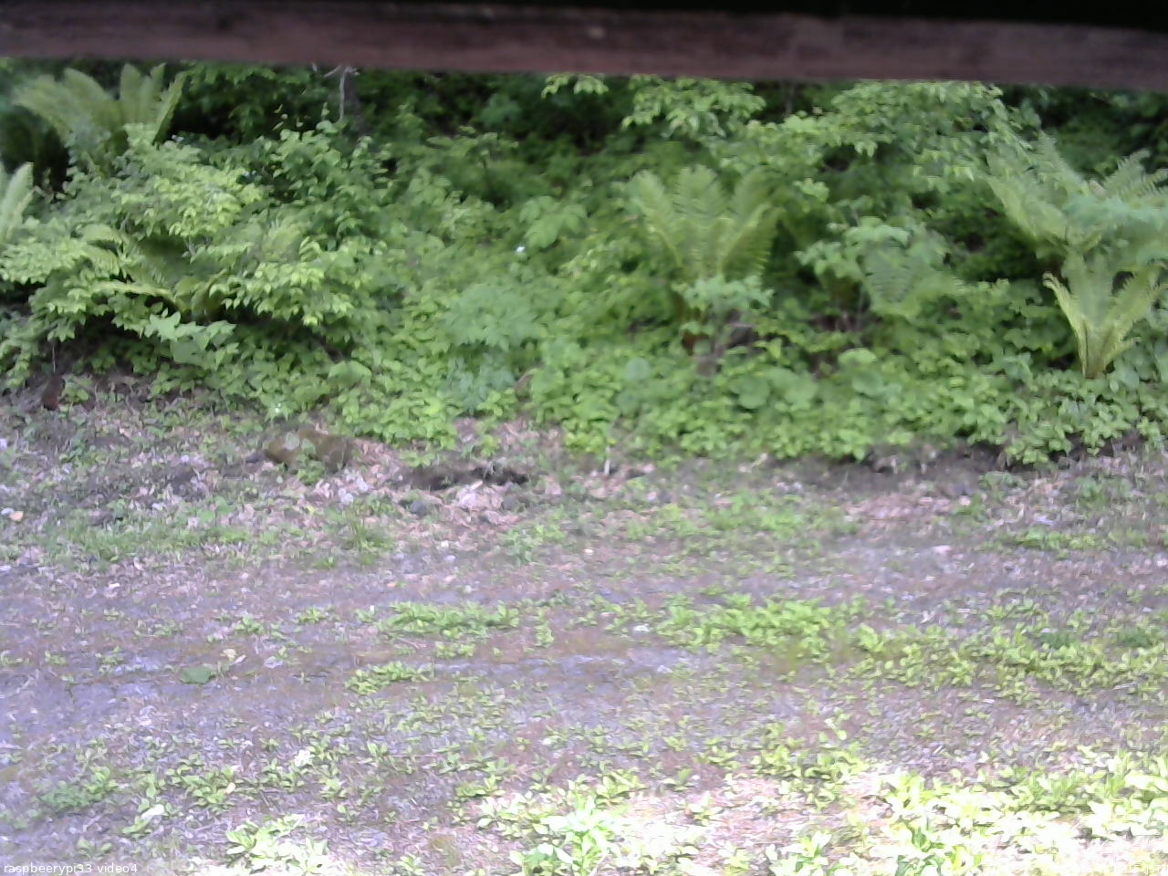長野県菅平高原 ゆたか山荘 東側(坂下) 2026/06/01 14:15