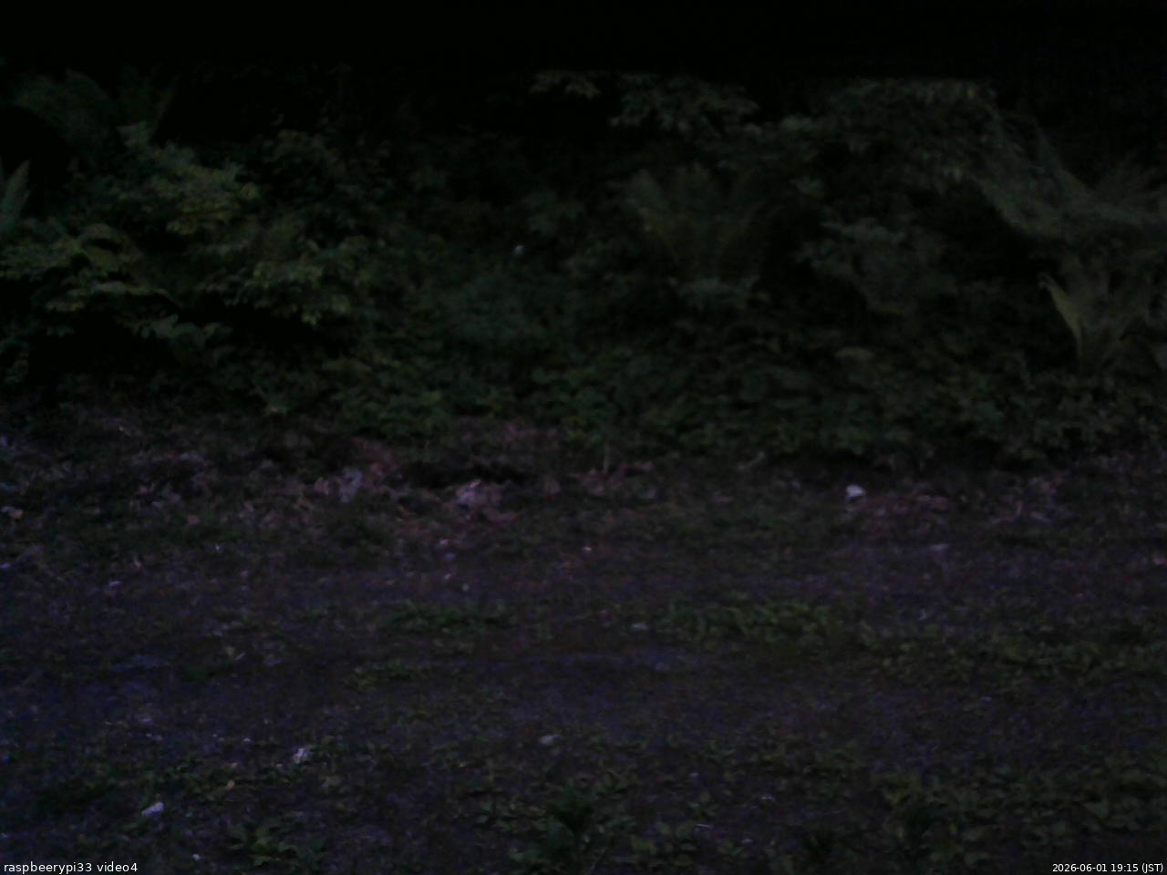 長野県菅平高原 ゆたか山荘 東側(坂下) 2026/06/01 19:15