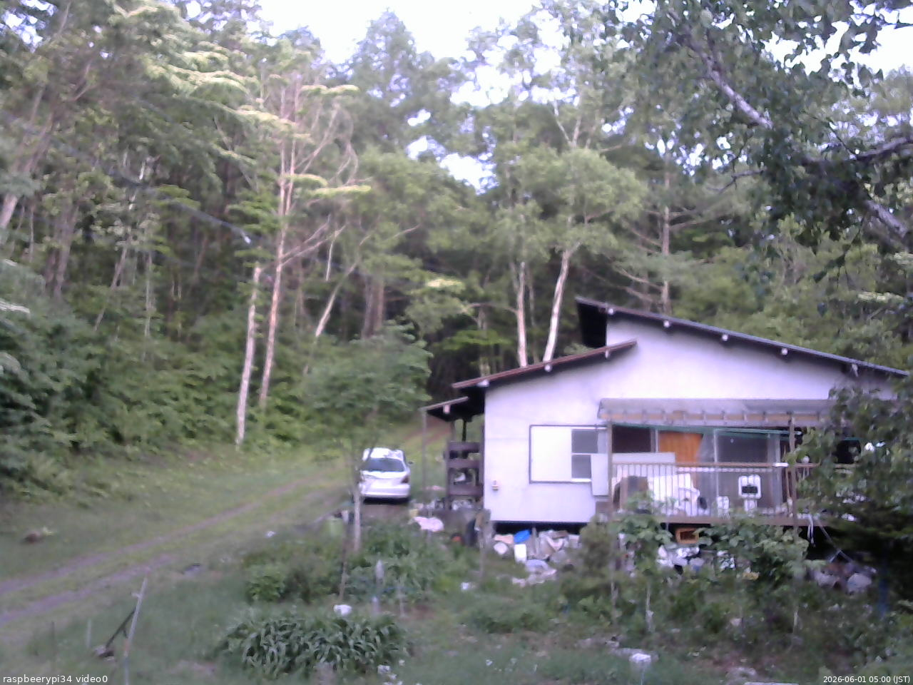 長野県菅平高原 ゆたか山荘 西側(坂上) 2026/06/01 05:00