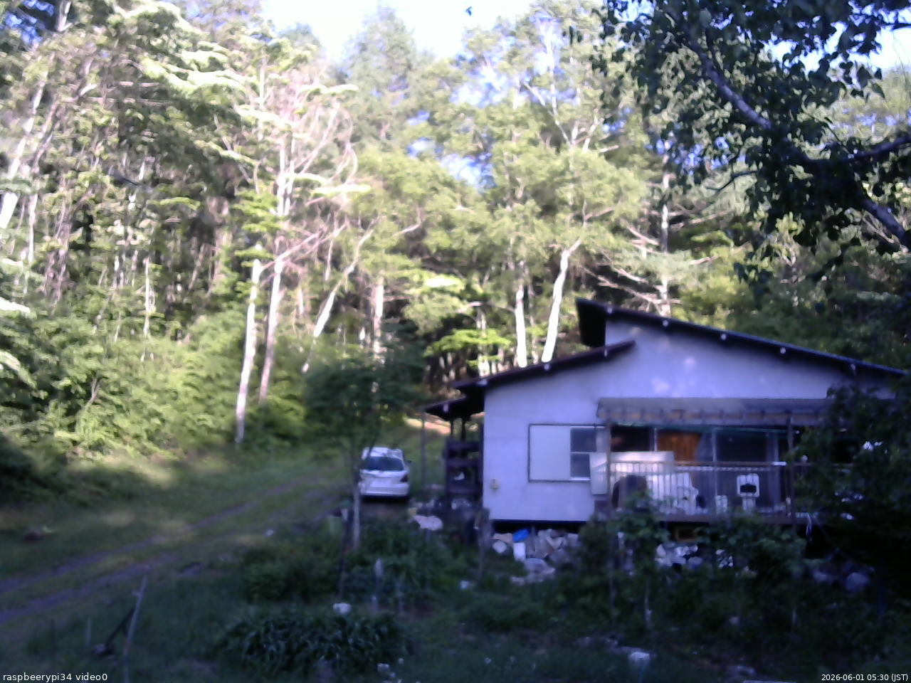 長野県菅平高原 ゆたか山荘 西側(坂上) 2026/06/01 05:30