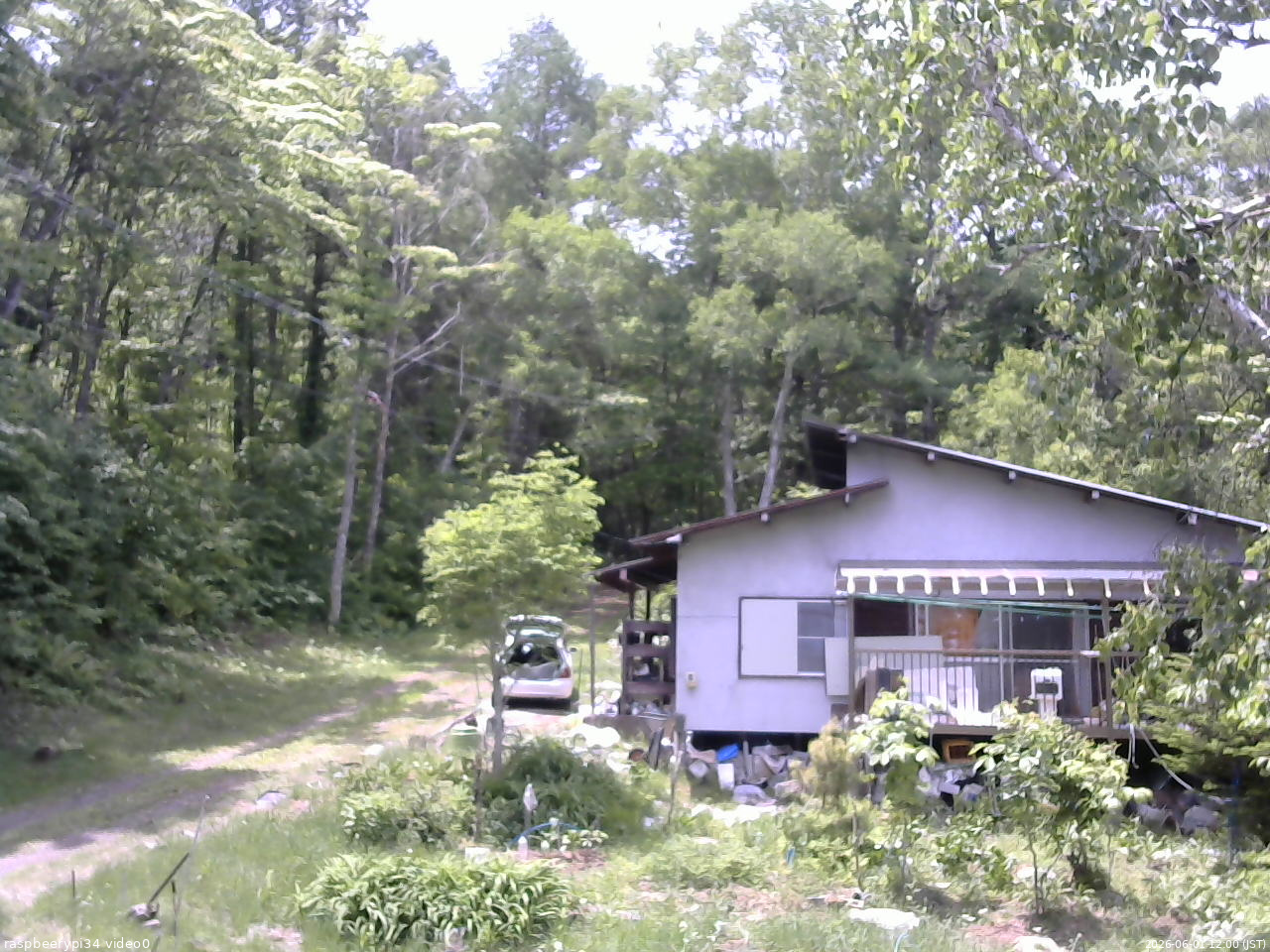 長野県菅平高原 ゆたか山荘 西側(坂上) 2026/06/01 12:00