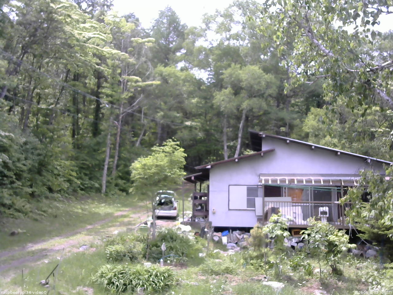 長野県菅平高原 ゆたか山荘 西側(坂上) 2026/06/01 12:30