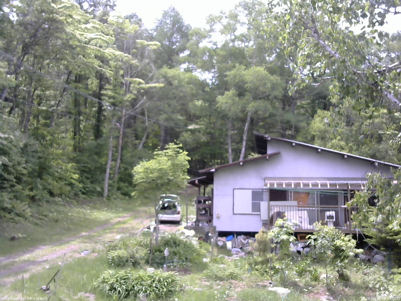 長野県菅平高原 ゆたか山荘 西側(坂上) 2026/06/01 12:45