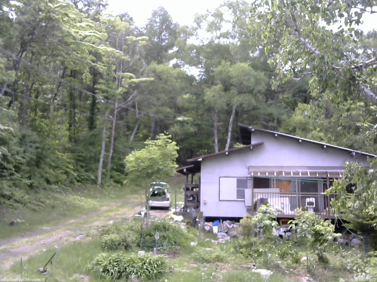 長野県菅平高原 ゆたか山荘 西側(坂上) 2026/06/01 13:00