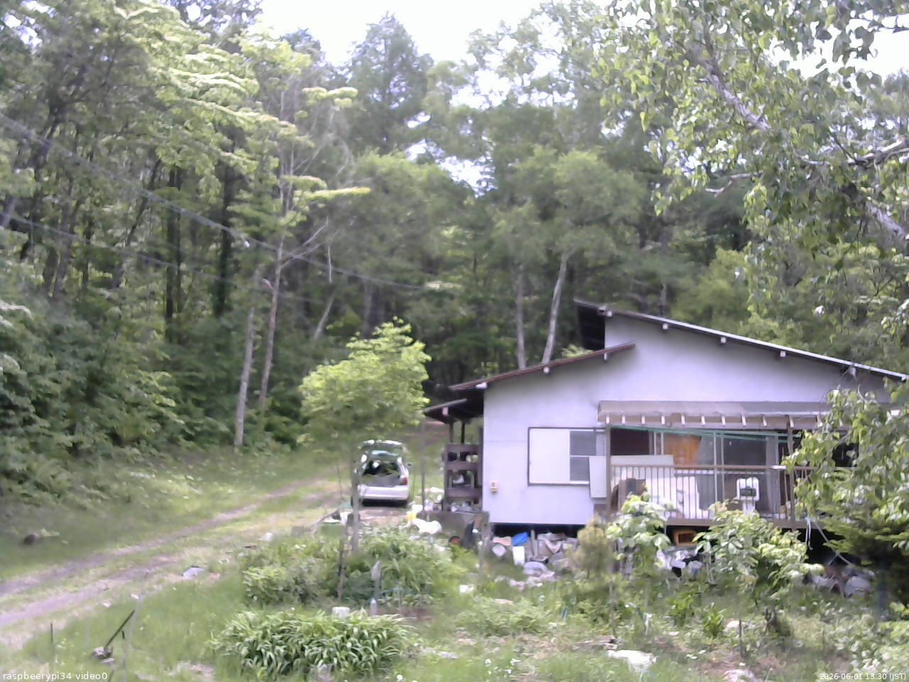 長野県菅平高原 ゆたか山荘 西側(坂上) 2026/06/01 13:30