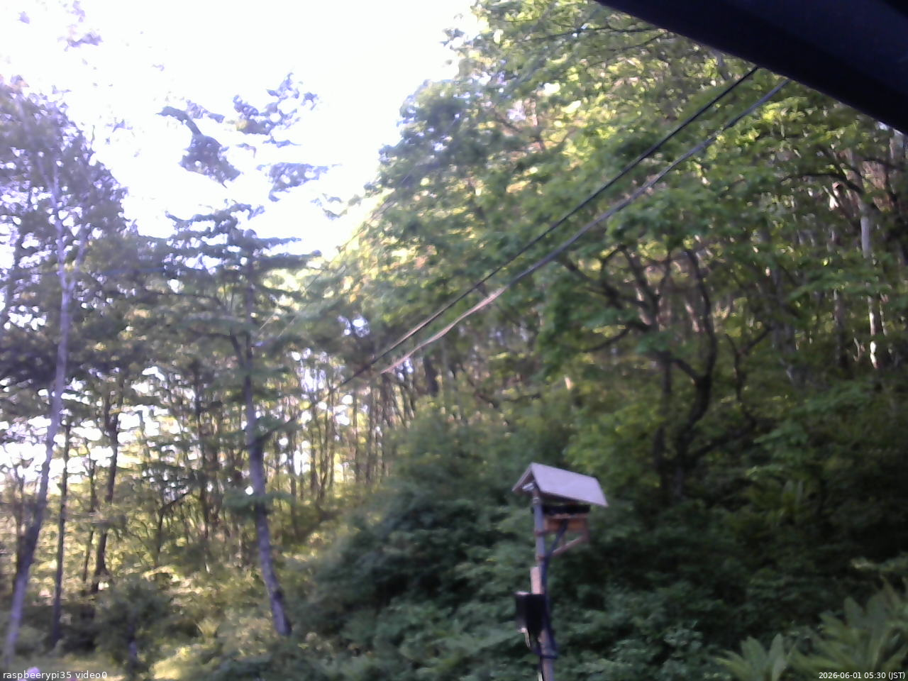 長野県菅平高原 ゆたか山荘 温度計 2026/06/01 05:30
