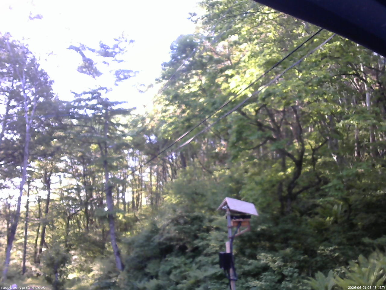 長野県菅平高原 ゆたか山荘 温度計 2026/06/01 05:45