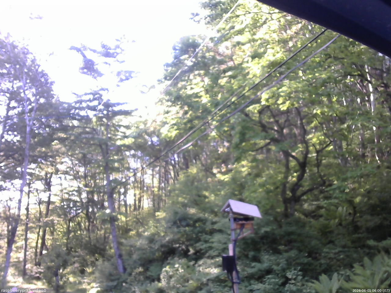 長野県菅平高原 ゆたか山荘 温度計 2026/06/01 06:00