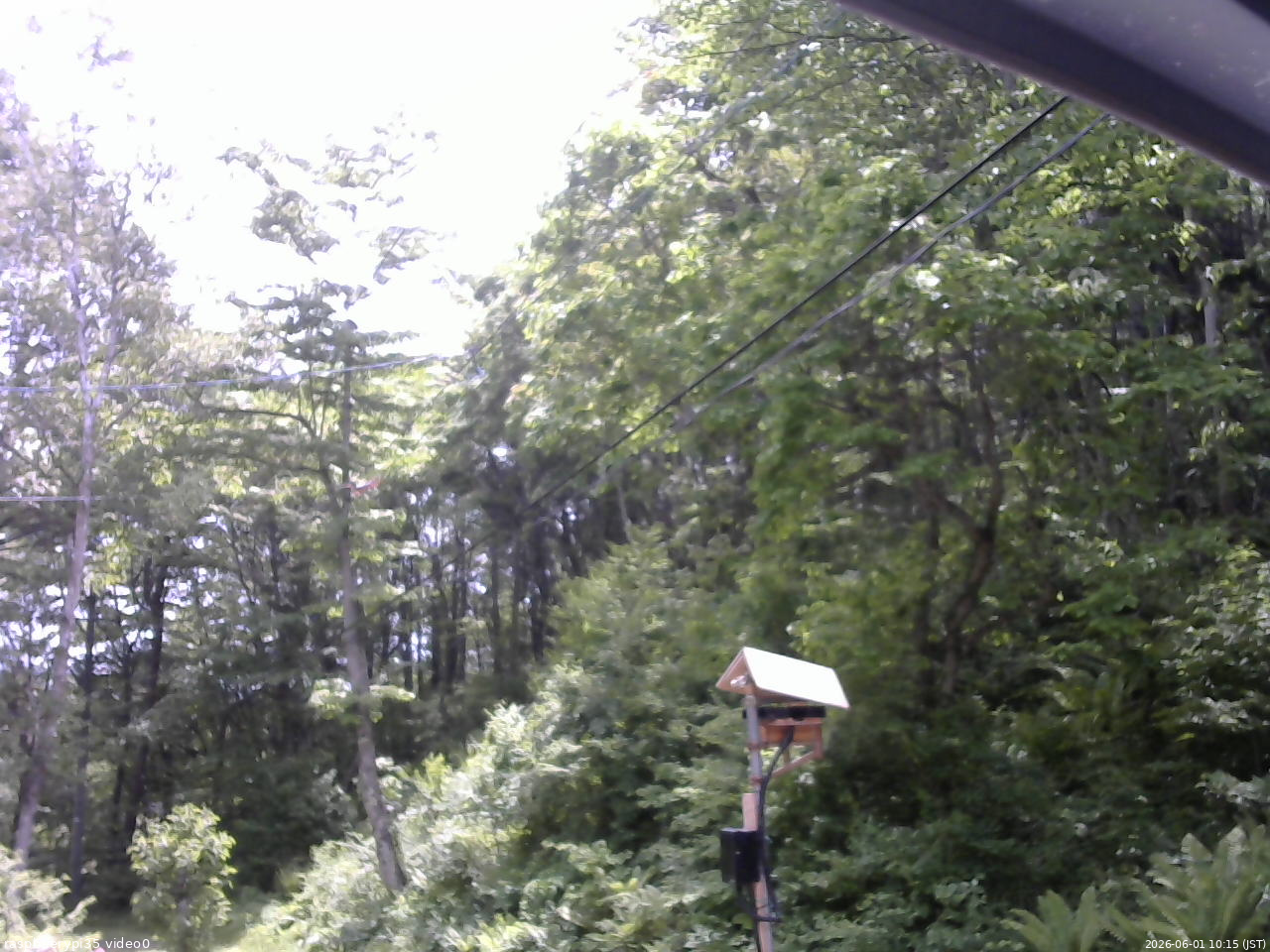 長野県菅平高原 ゆたか山荘 温度計 2026/06/01 10:15
