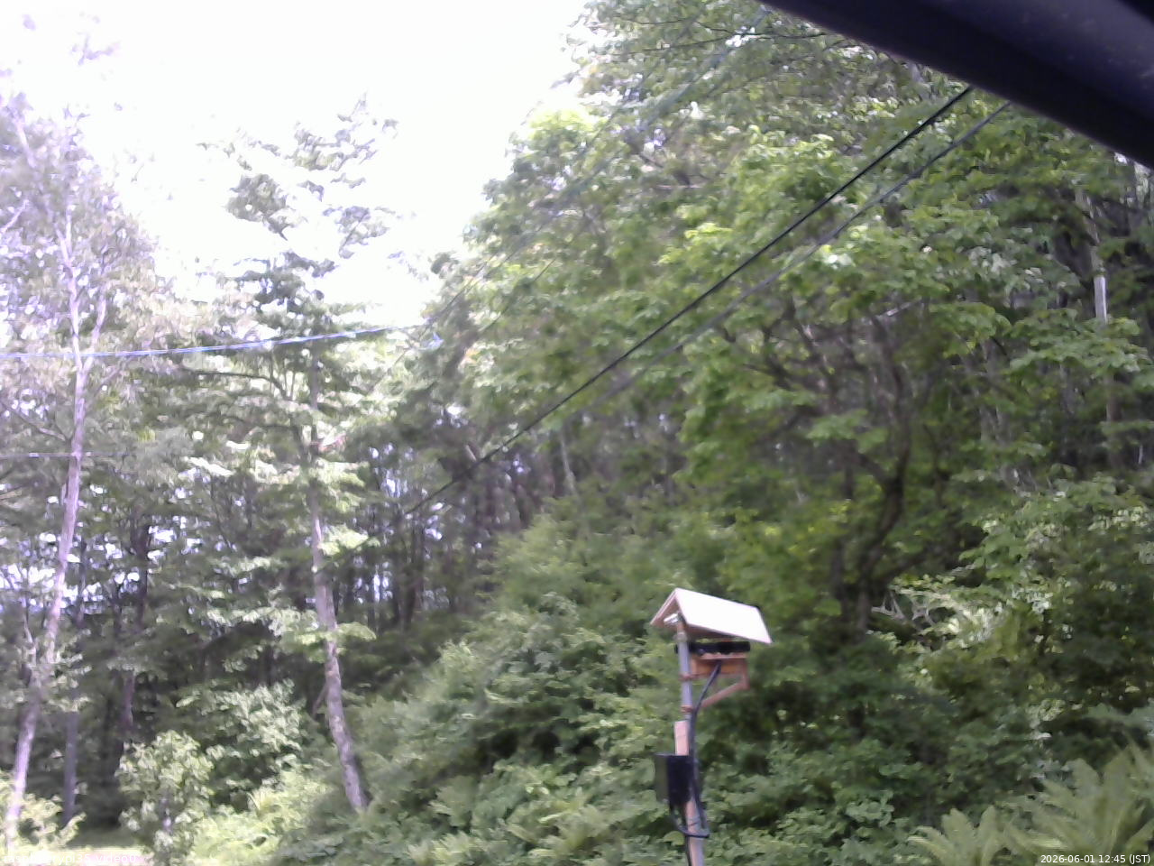 長野県菅平高原 ゆたか山荘 温度計 2026/06/01 12:45