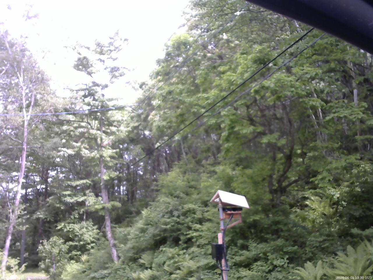 長野県菅平高原 ゆたか山荘 温度計 2026/06/01 13:30