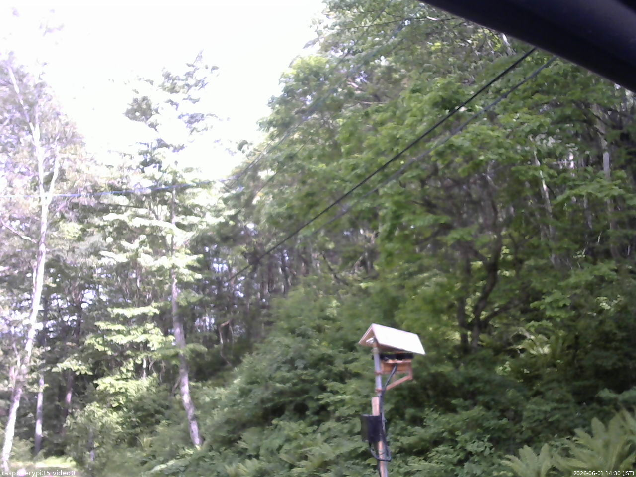 長野県菅平高原 ゆたか山荘 温度計 2026/06/01 14:30
