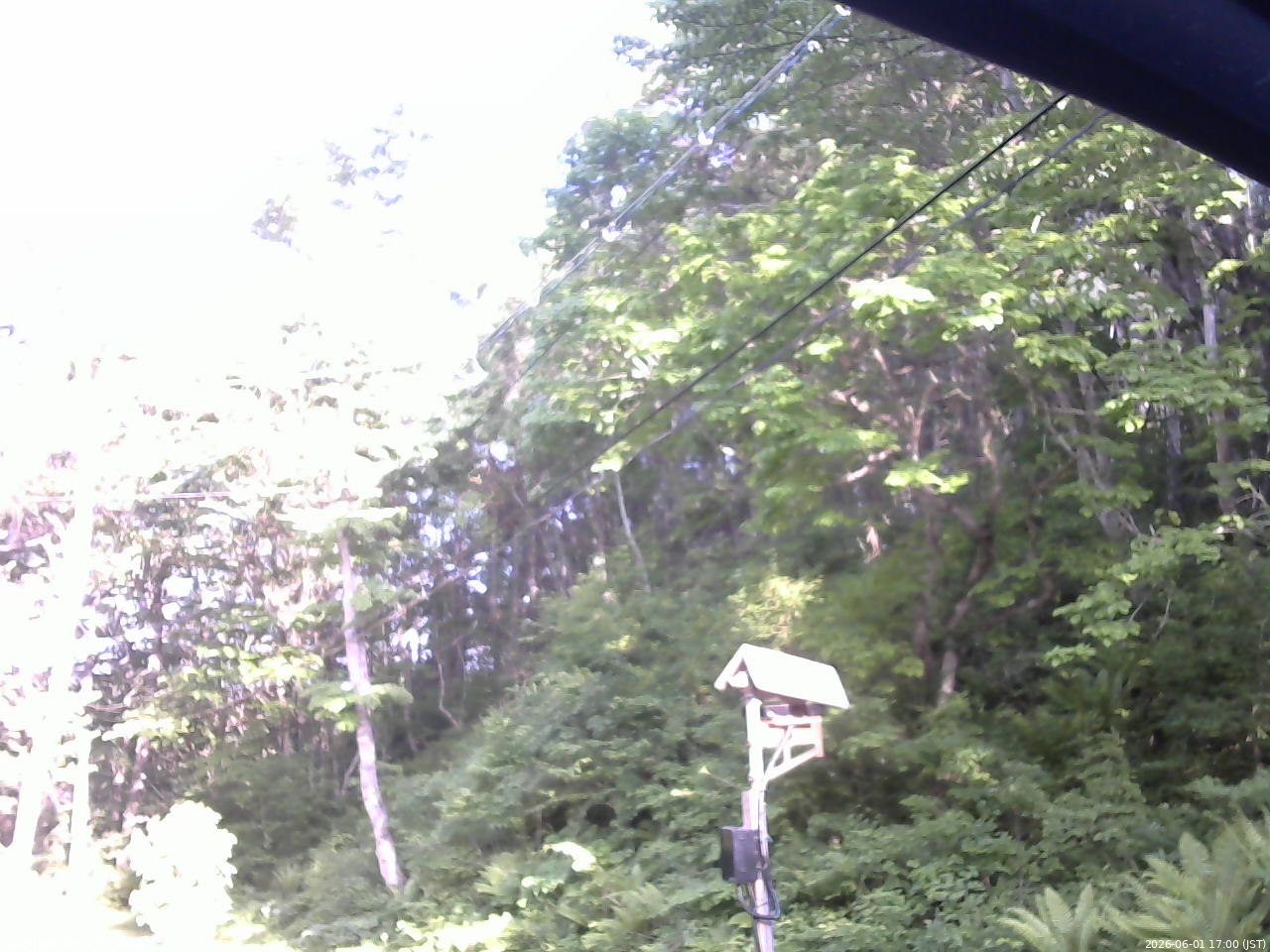 長野県菅平高原 ゆたか山荘 温度計 2026/06/01 17:00