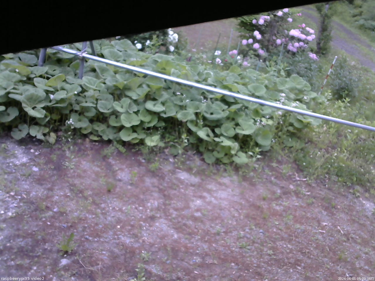 長野県菅平高原 ゆたか山荘 駐車場 2026/06/01 05:00