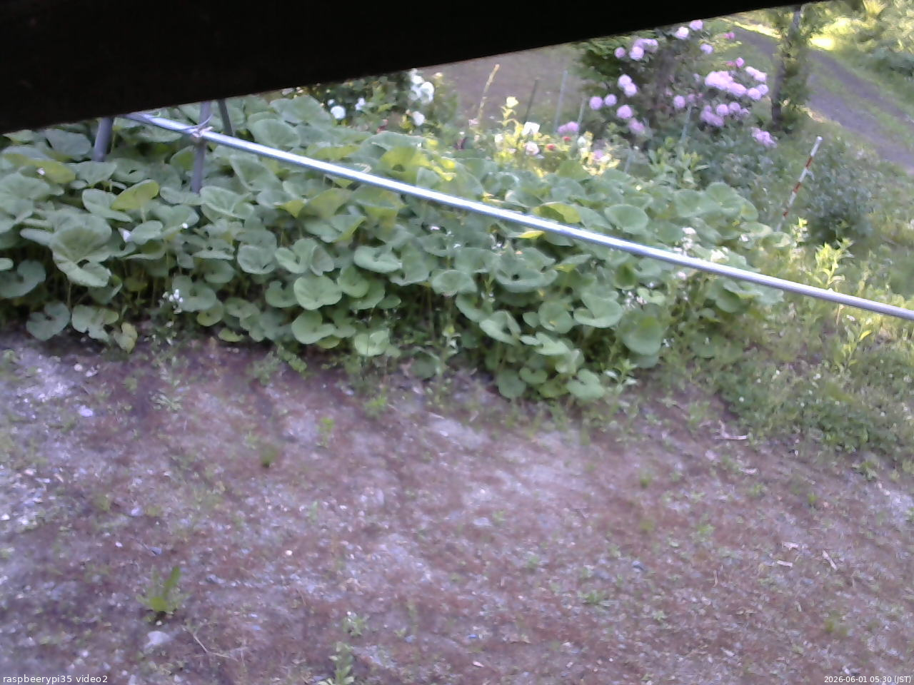 長野県菅平高原 ゆたか山荘 駐車場 2026/06/01 05:30