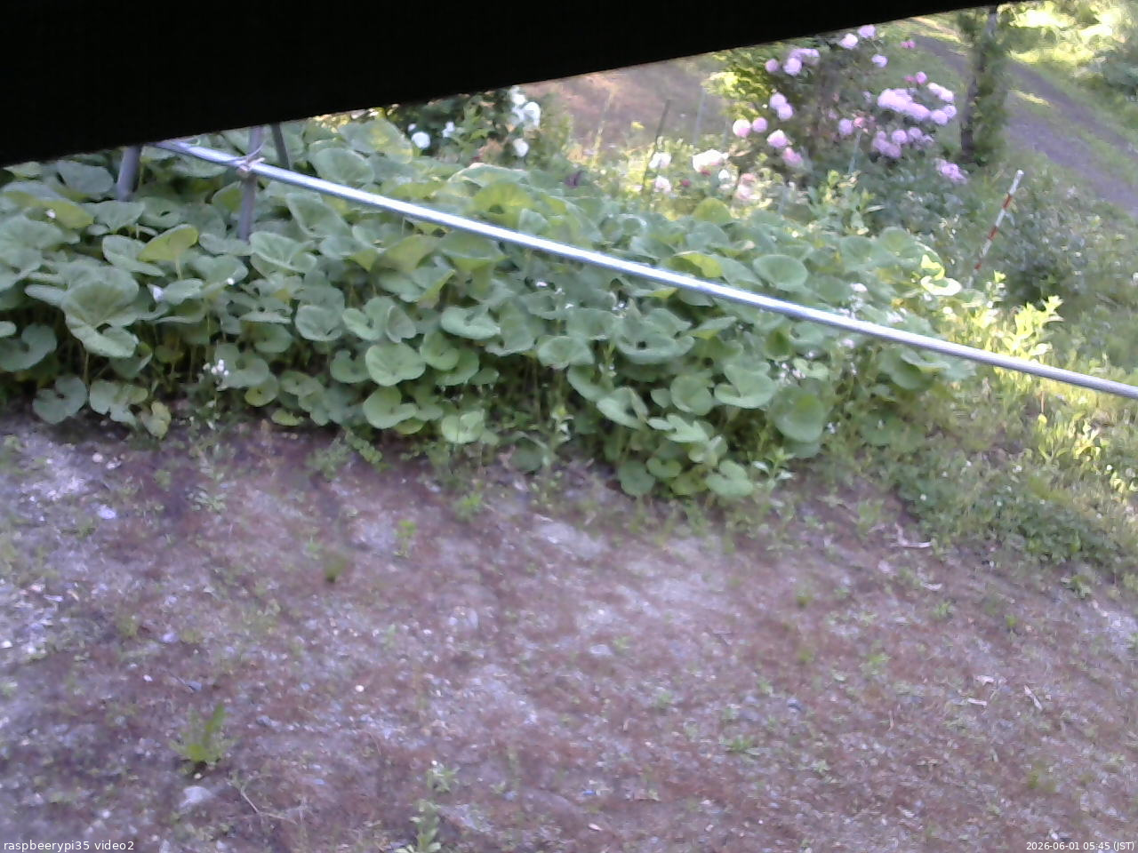 長野県菅平高原 ゆたか山荘 駐車場 2026/06/01 05:45