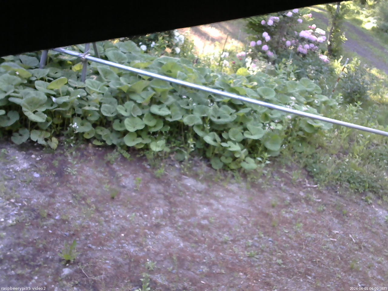 長野県菅平高原 ゆたか山荘 駐車場 2026/06/01 06:00