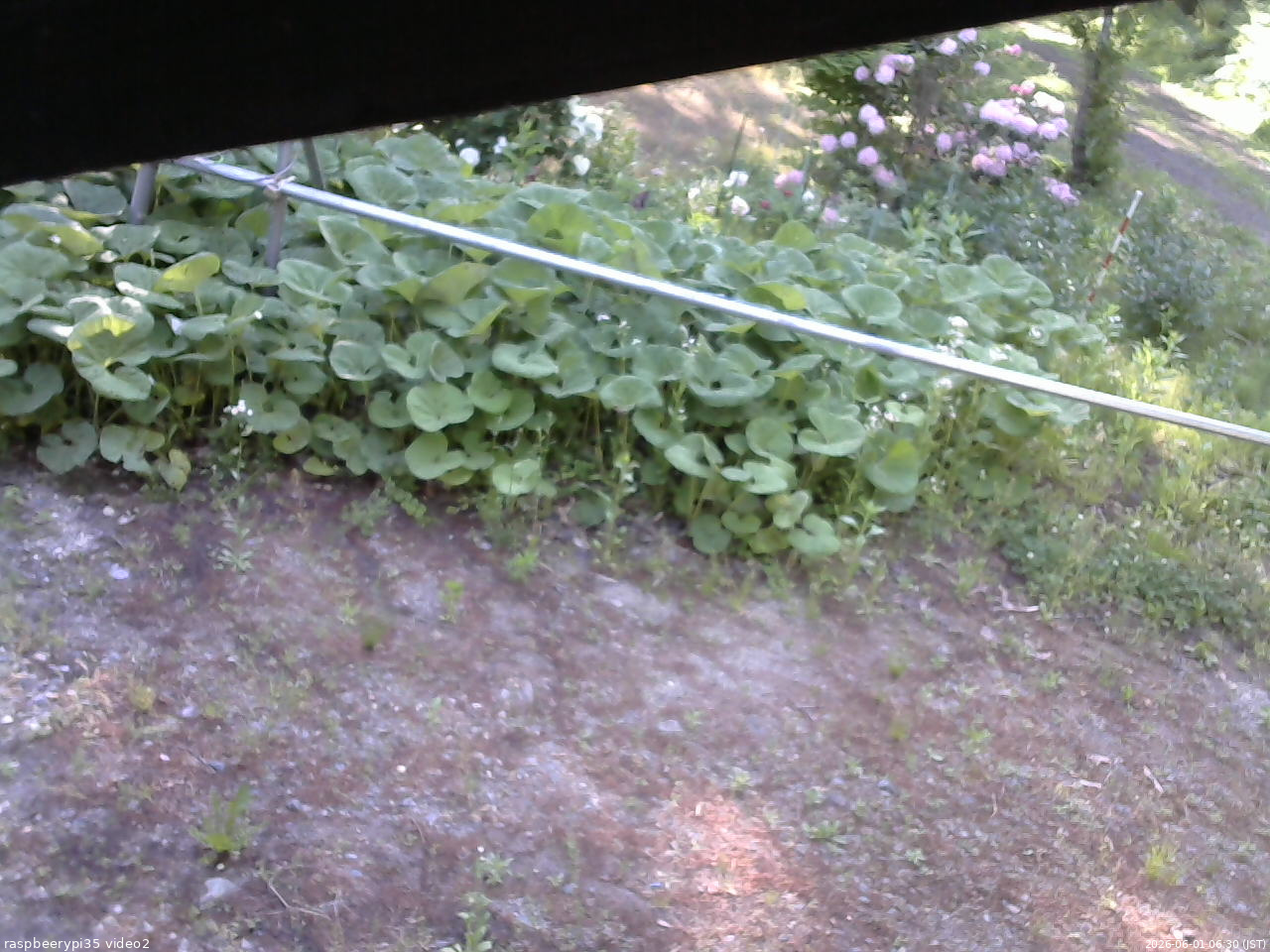 長野県菅平高原 ゆたか山荘 駐車場 2026/06/01 06:30