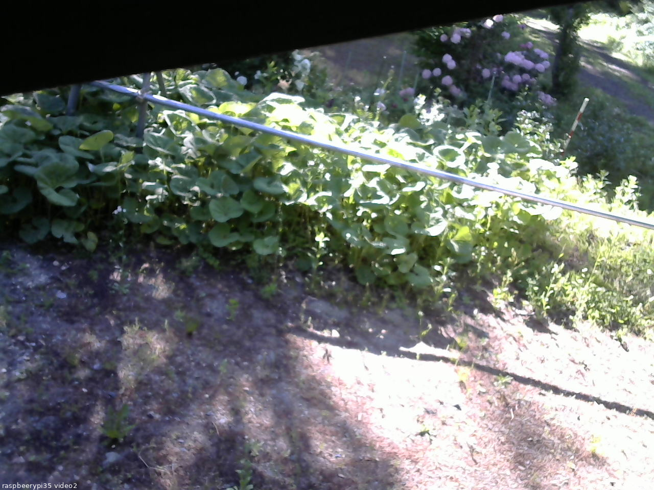 長野県菅平高原 ゆたか山荘 駐車場 2026/06/01 07:00