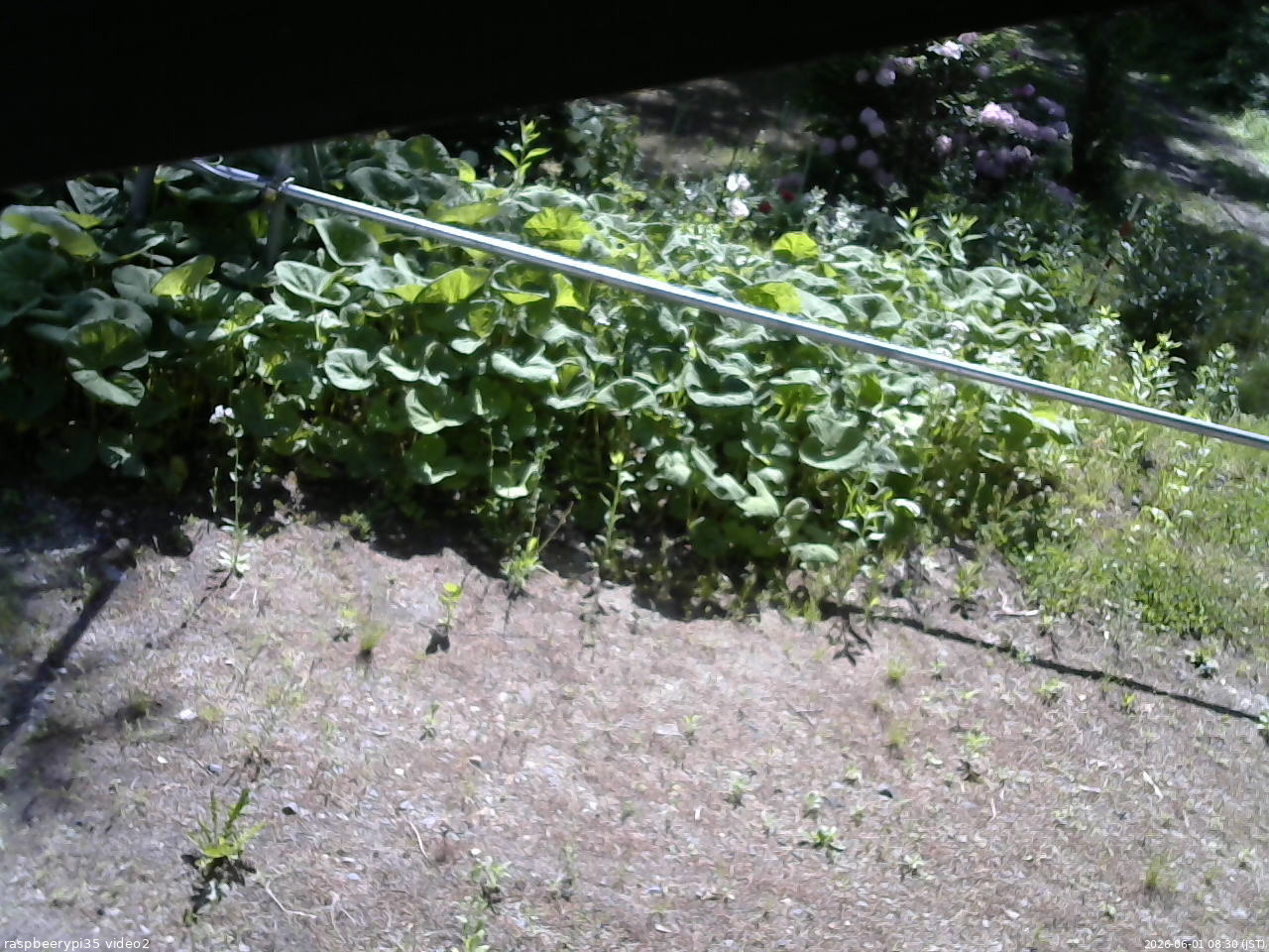 長野県菅平高原 ゆたか山荘 駐車場 2026/06/01 08:30