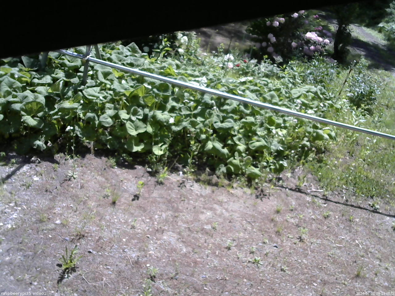 長野県菅平高原 ゆたか山荘 駐車場 2026/06/01 09:15