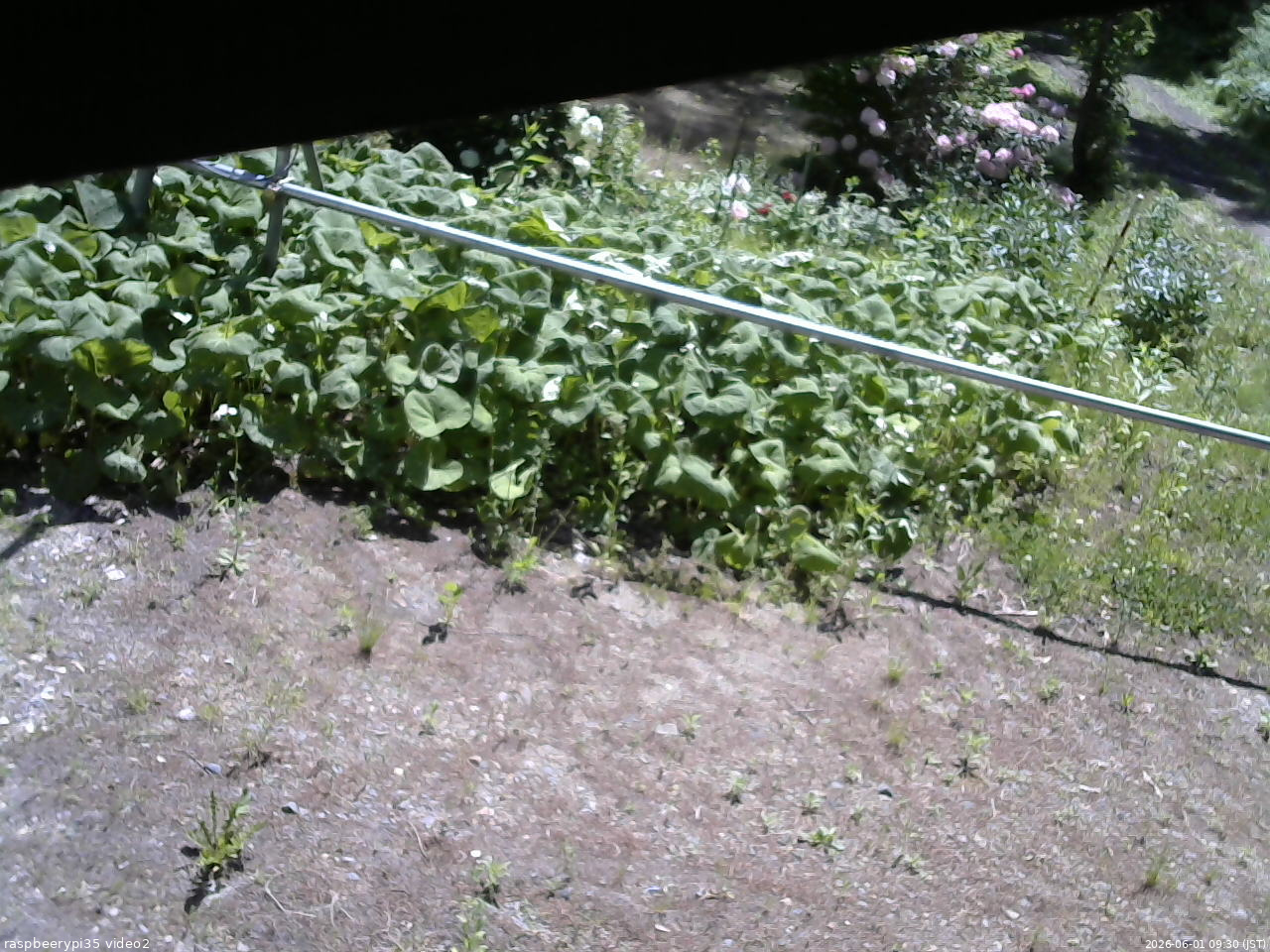 長野県菅平高原 ゆたか山荘 駐車場 2026/06/01 09:30