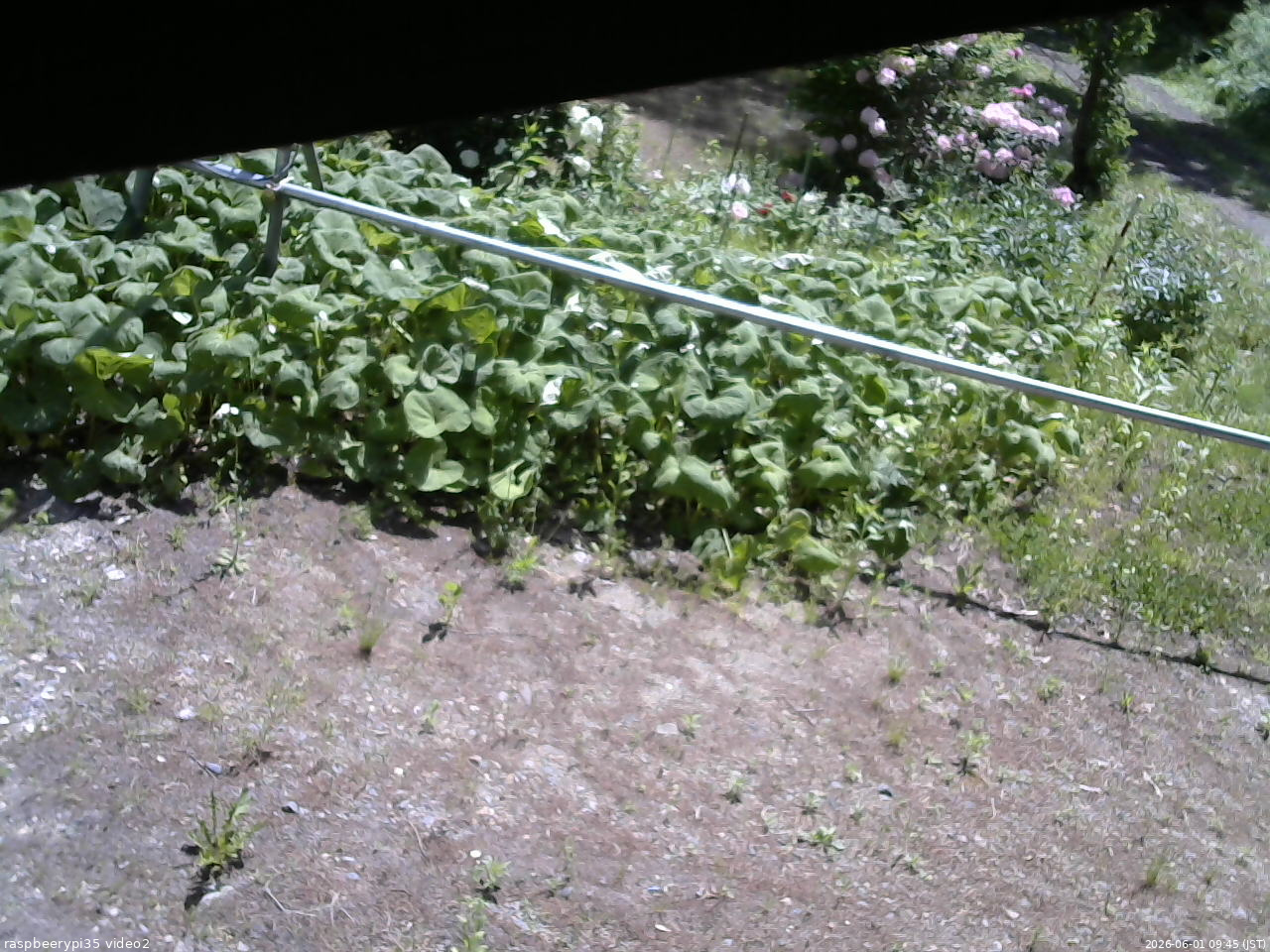 長野県菅平高原 ゆたか山荘 駐車場 2026/06/01 09:45
