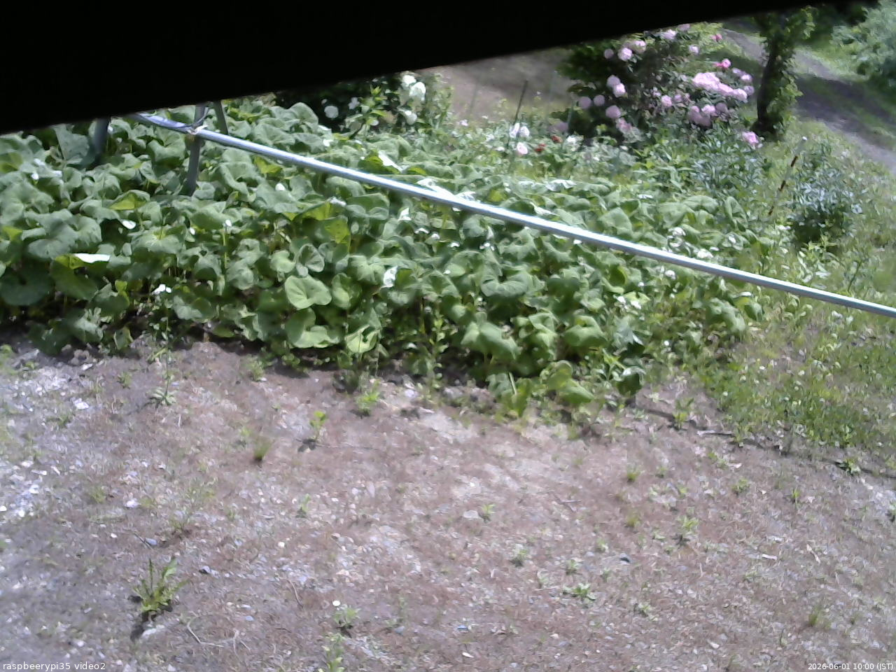 長野県菅平高原 ゆたか山荘 駐車場 2026/06/01 10:00