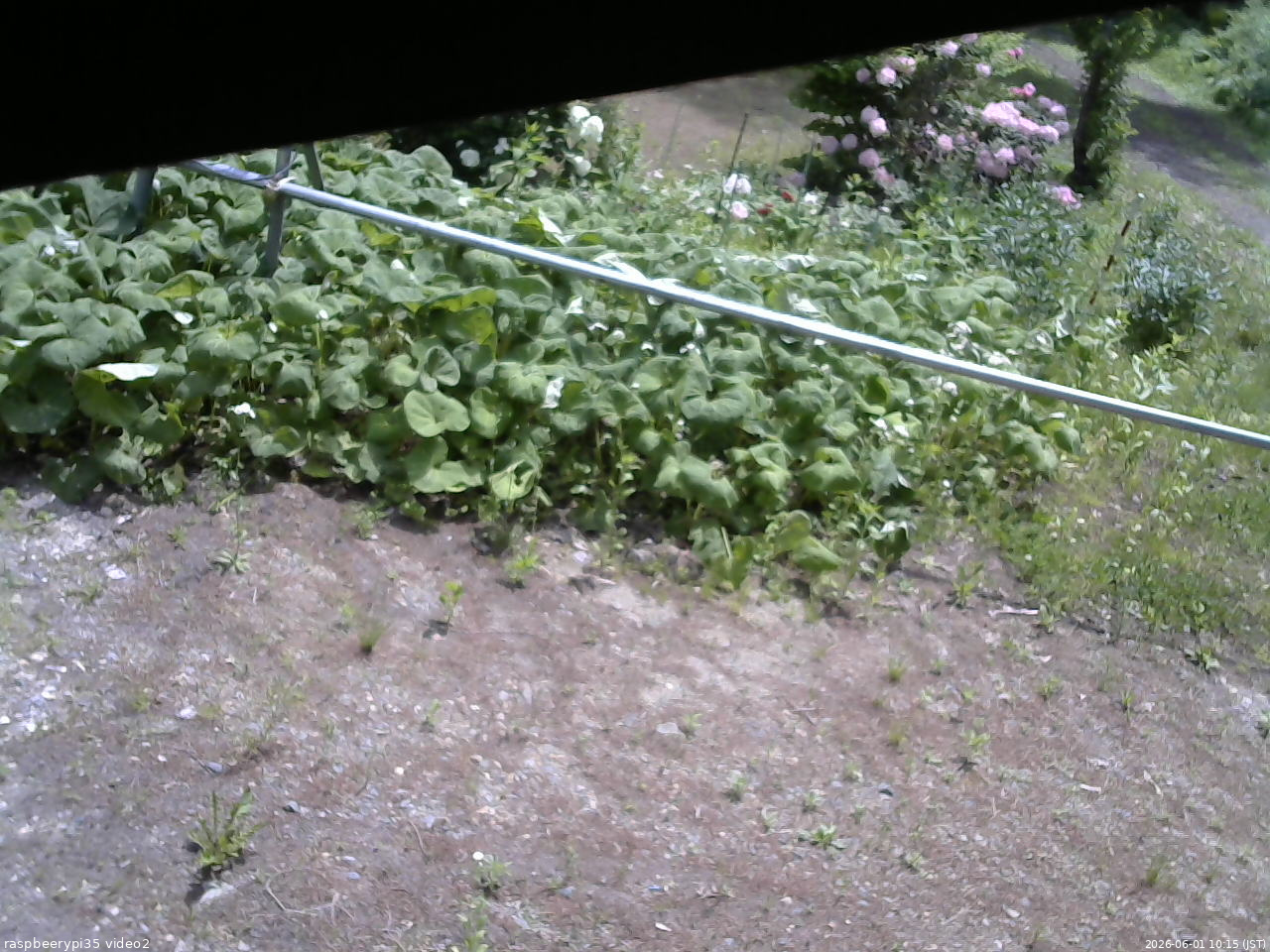 長野県菅平高原 ゆたか山荘 駐車場 2026/06/01 10:15