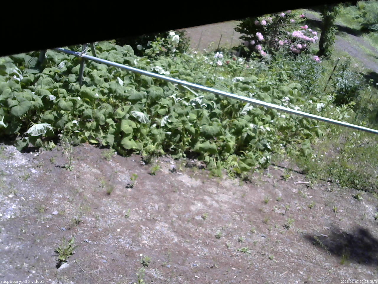 長野県菅平高原 ゆたか山荘 駐車場 2026/06/01 11:15