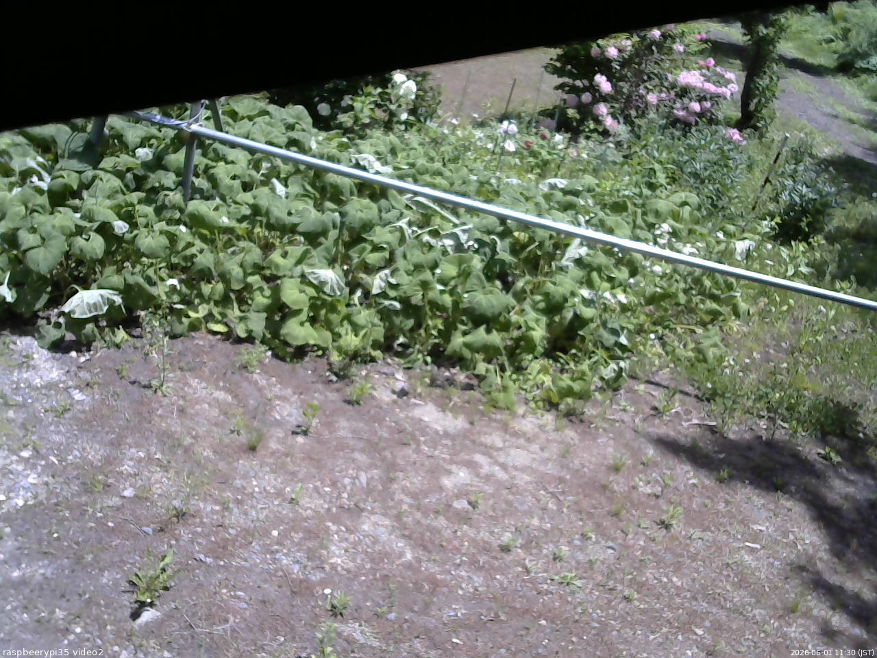 長野県菅平高原 ゆたか山荘 駐車場 2026/06/01 11:30