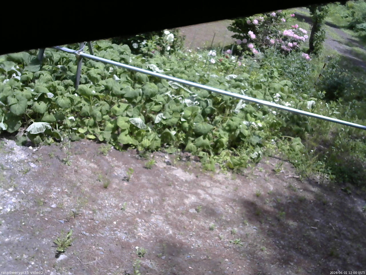 長野県菅平高原 ゆたか山荘 駐車場 2026/06/01 12:00