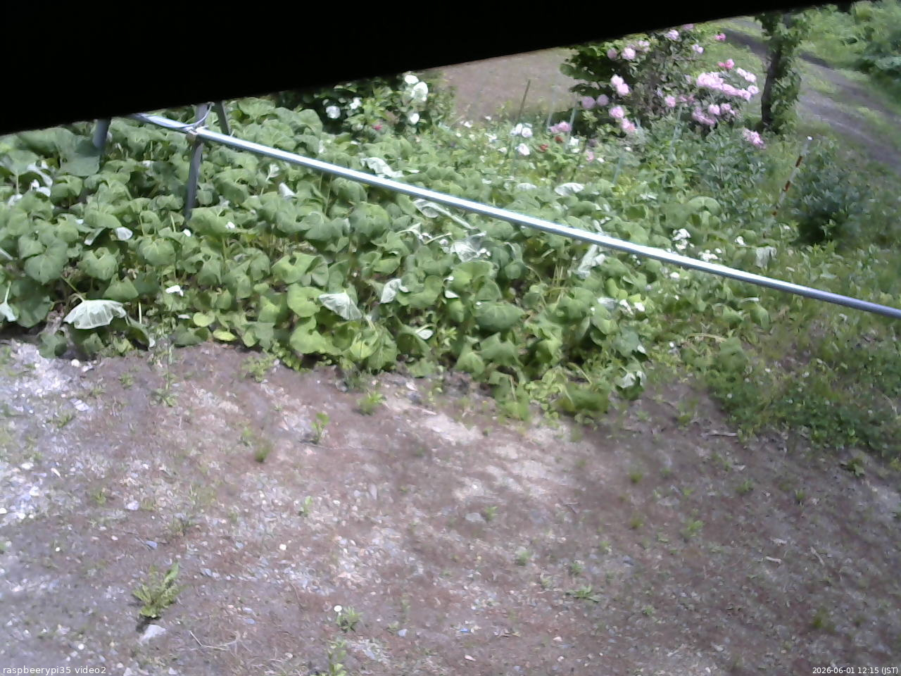 長野県菅平高原 ゆたか山荘 駐車場 2026/06/01 12:15