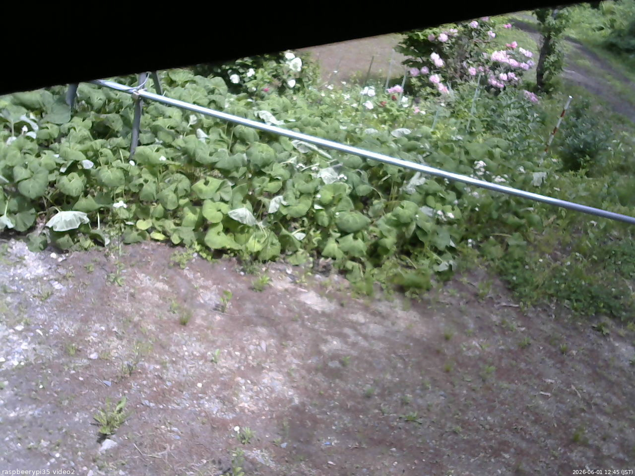 長野県菅平高原 ゆたか山荘 駐車場 2026/06/01 12:45