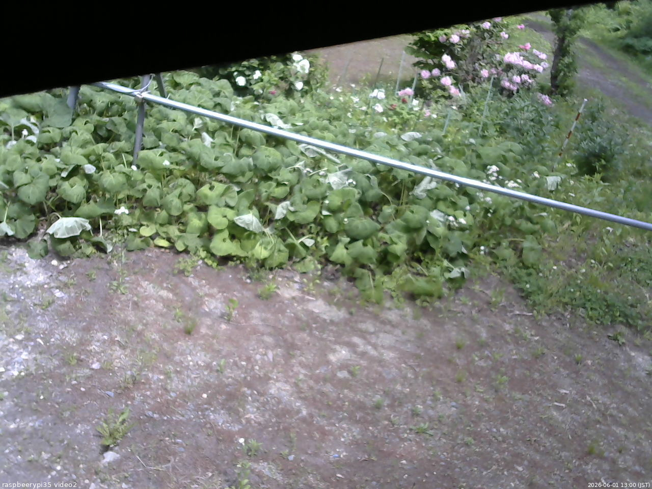長野県菅平高原 ゆたか山荘 駐車場 2026/06/01 13:00