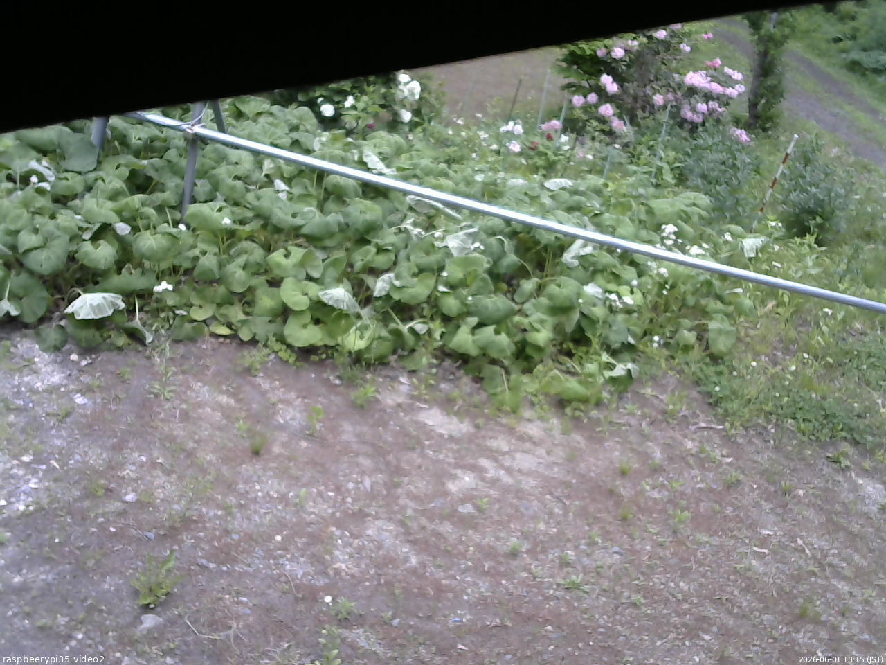 長野県菅平高原 ゆたか山荘 駐車場 2026/06/01 13:15