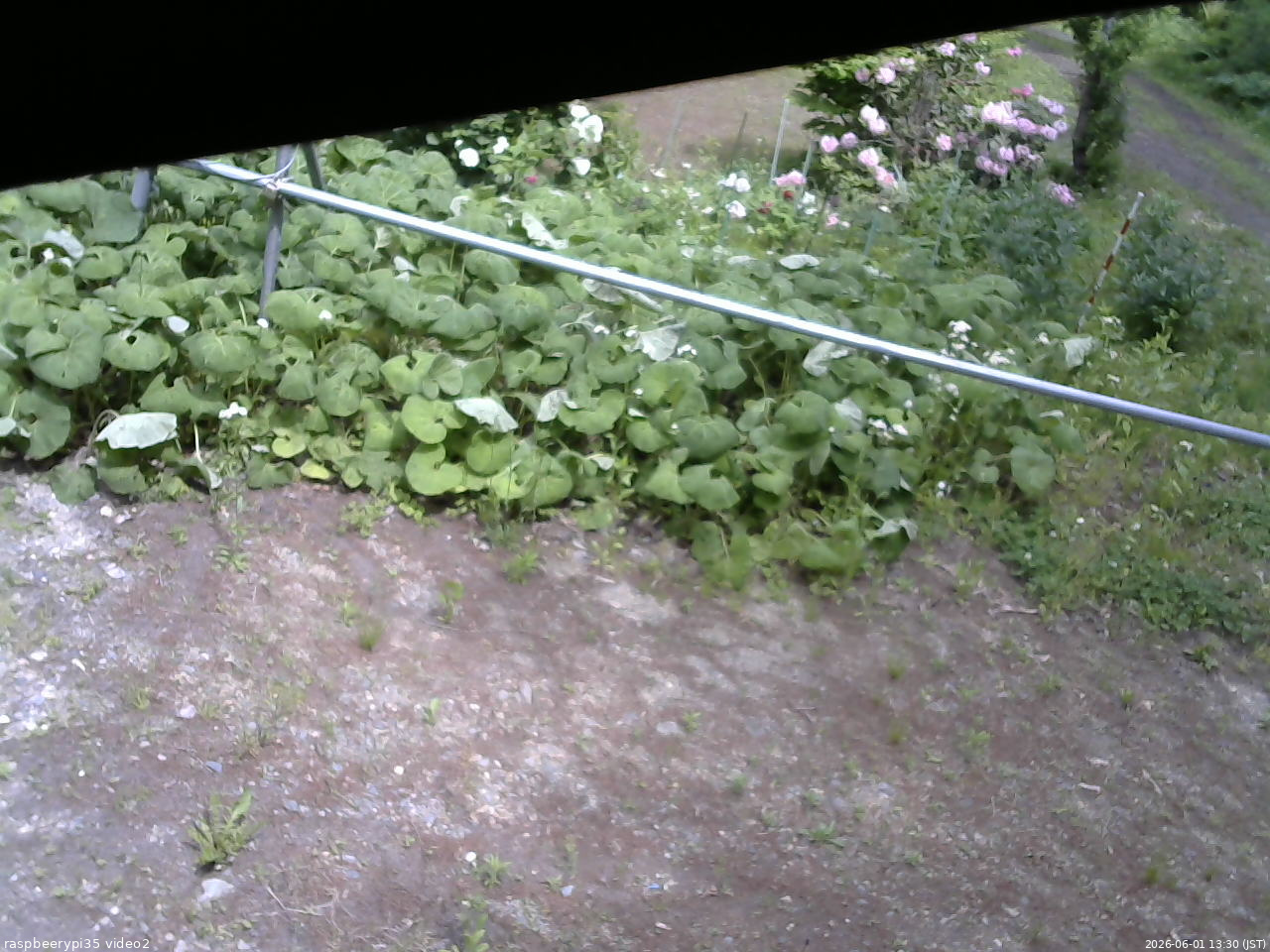 長野県菅平高原 ゆたか山荘 駐車場 2026/06/01 13:30