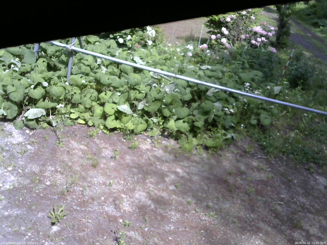 長野県菅平高原 ゆたか山荘 駐車場 2026/06/01 13:45