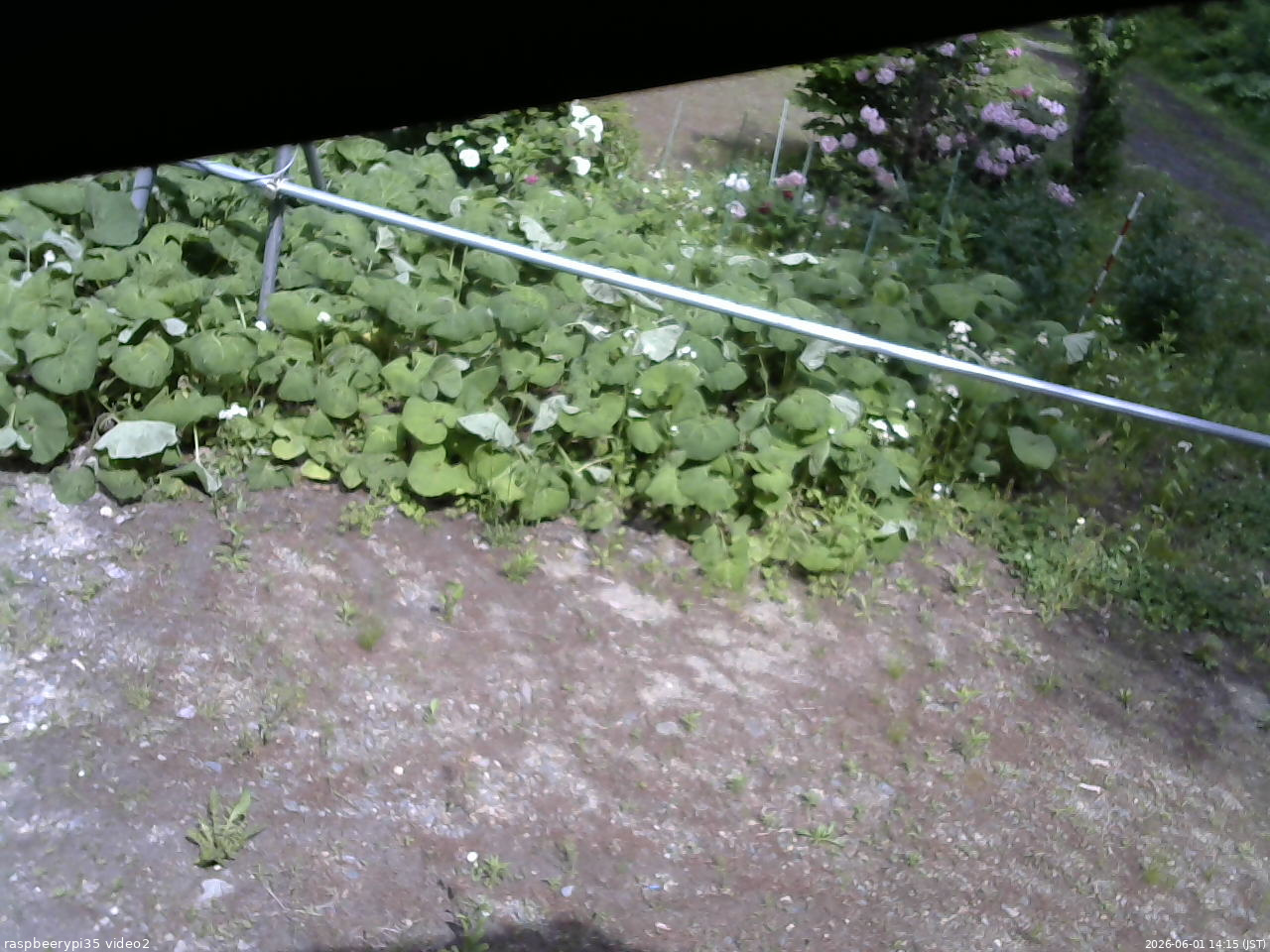 長野県菅平高原 ゆたか山荘 駐車場 2026/06/01 14:15