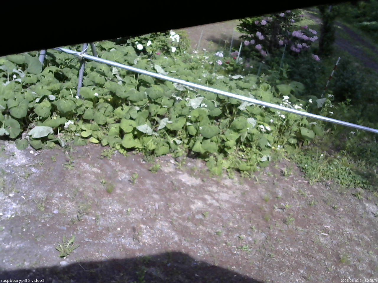 長野県菅平高原 ゆたか山荘 駐車場 2026/06/01 14:30