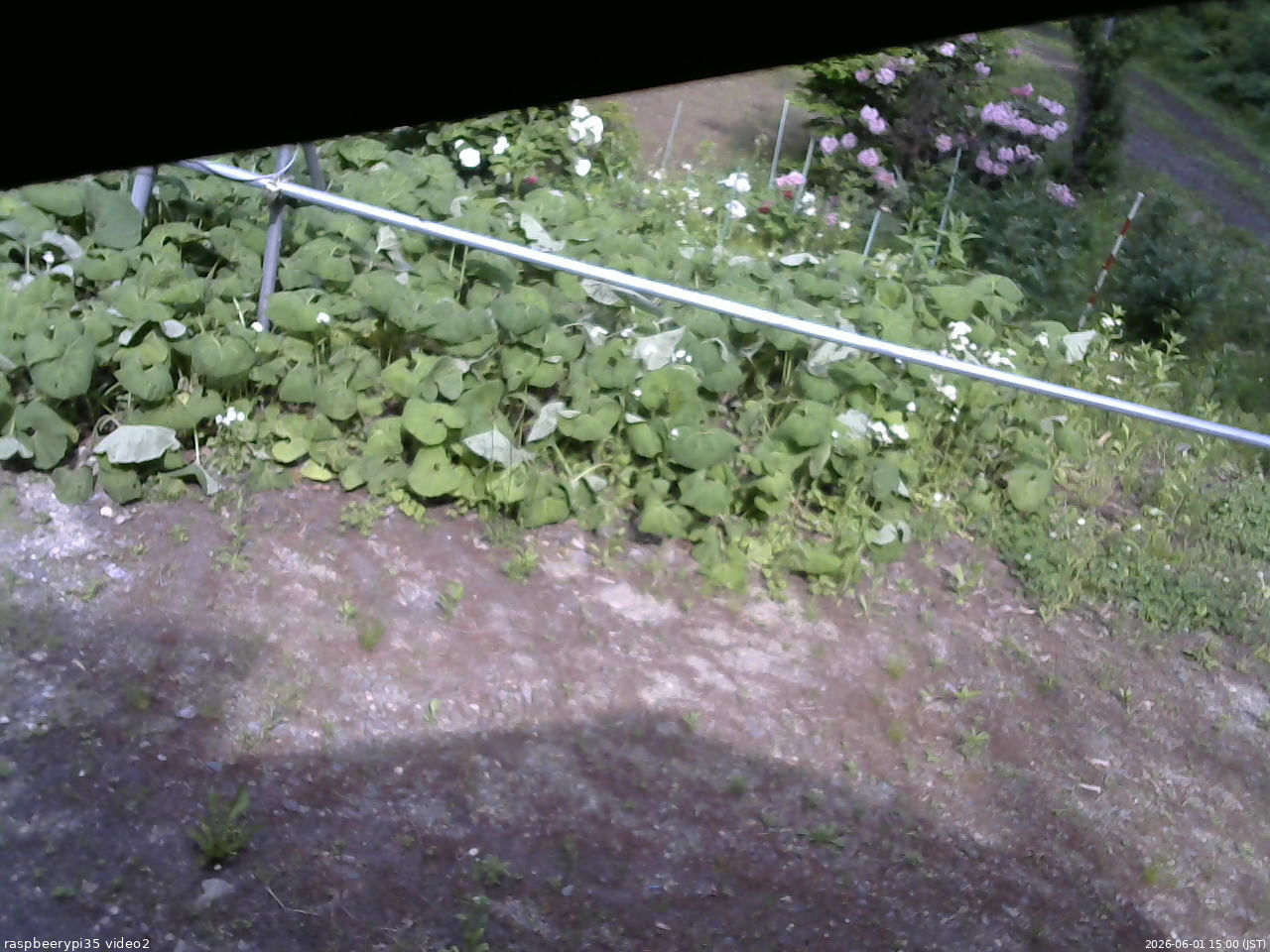 長野県菅平高原 ゆたか山荘 駐車場 2026/06/01 15:00
