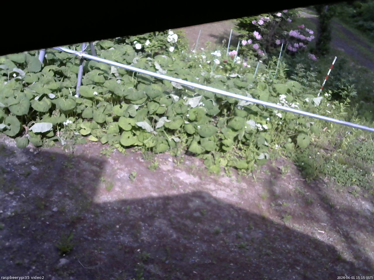 長野県菅平高原 ゆたか山荘 駐車場 2026/06/01 15:15