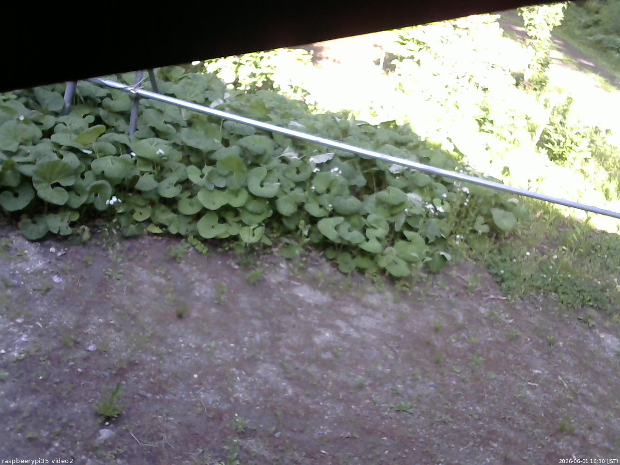 長野県菅平高原 ゆたか山荘 駐車場 2026/06/01 16:30