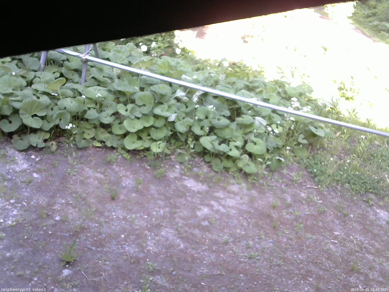 長野県菅平高原 ゆたか山荘 駐車場 2026/06/01 16:45