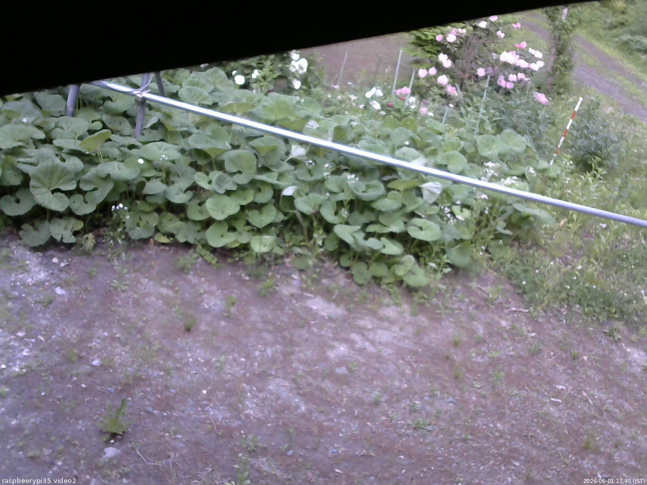 長野県菅平高原 ゆたか山荘 駐車場 2026/06/01 17:45