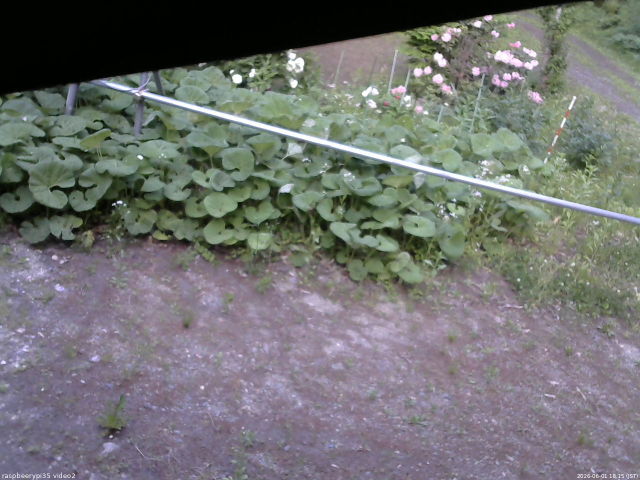 長野県菅平高原 ゆたか山荘 駐車場 2026/06/01 18:15