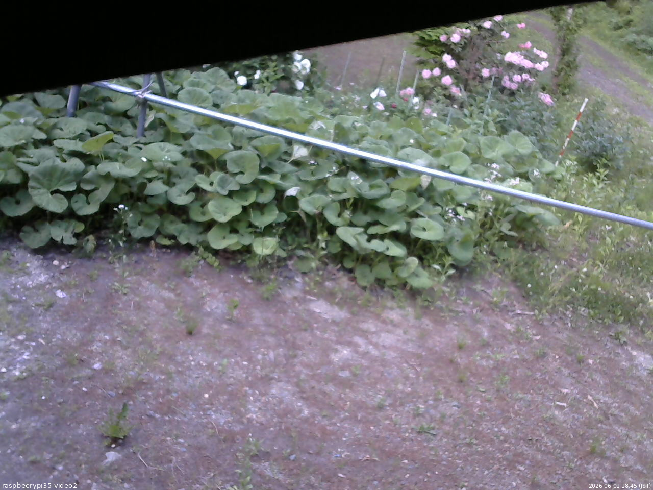 長野県菅平高原 ゆたか山荘 駐車場 2026/06/01 18:45