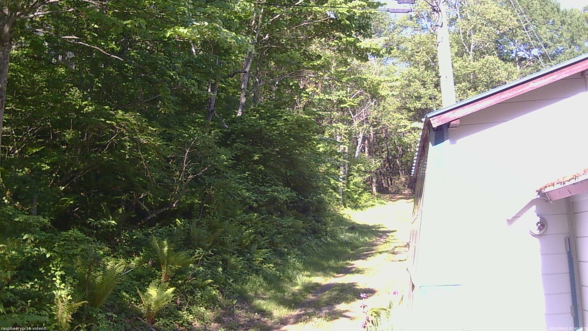 長野県菅平高原 ゆたか山荘 ゆたか山荘 2026/06/01 07:45