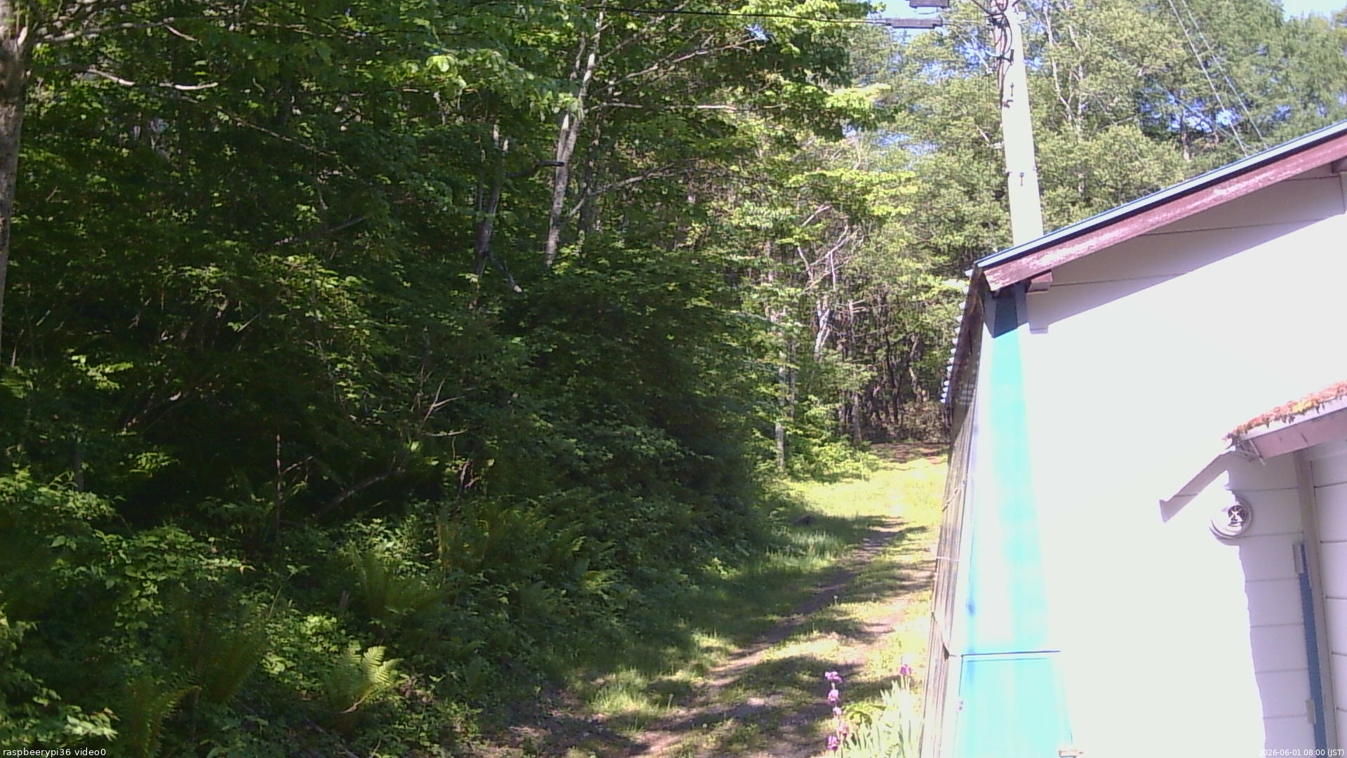 長野県菅平高原 ゆたか山荘 ゆたか山荘 2026/06/01 08:00